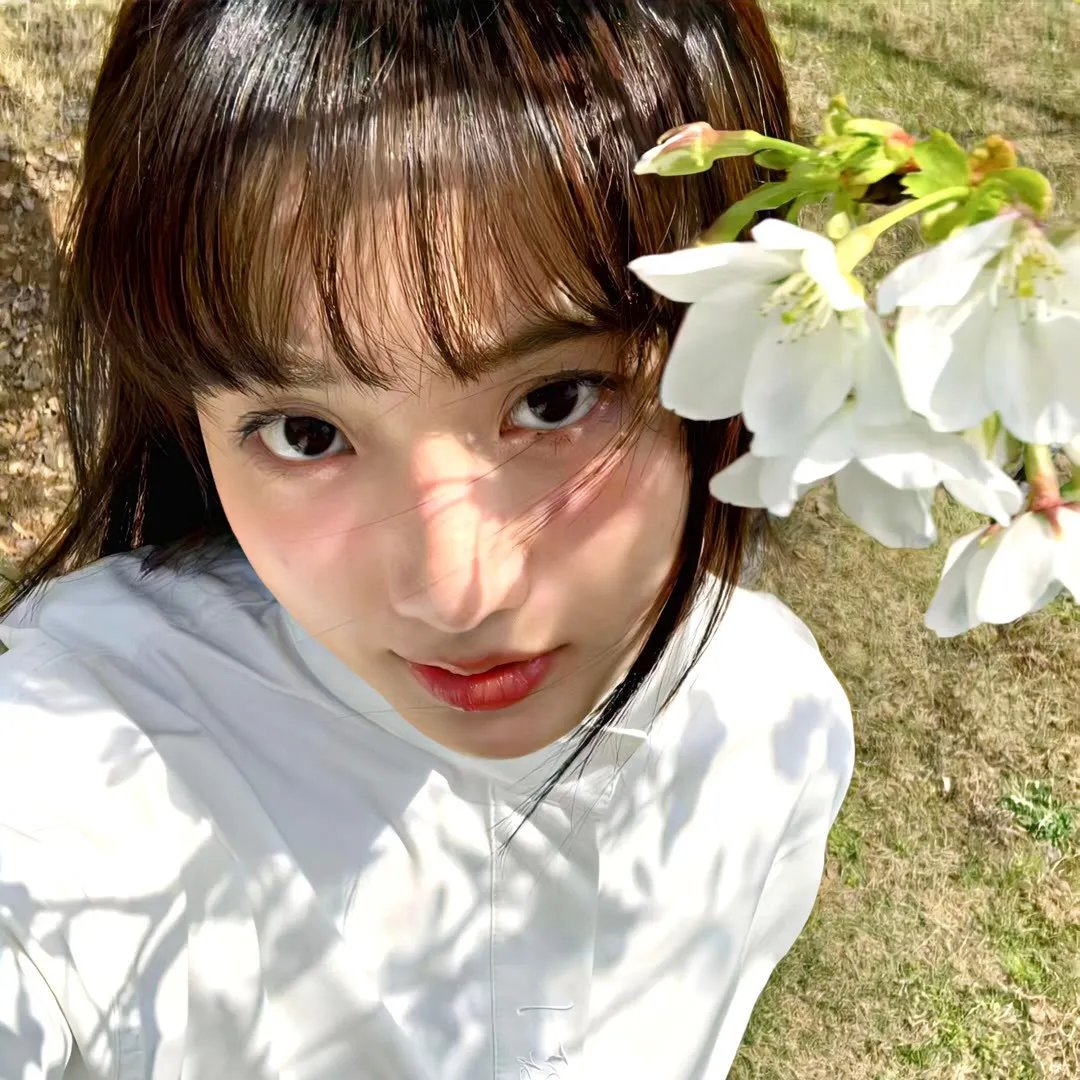 顽将飞渡娘子关 在线观看